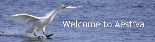 Welcome to Aestiva