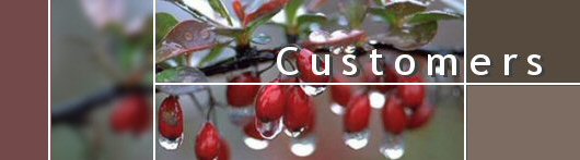 Customers - Aestiva