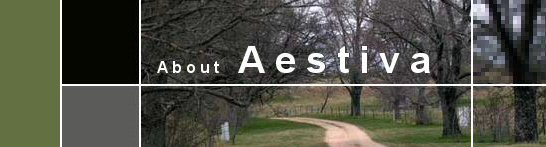 Company - Aestiva
